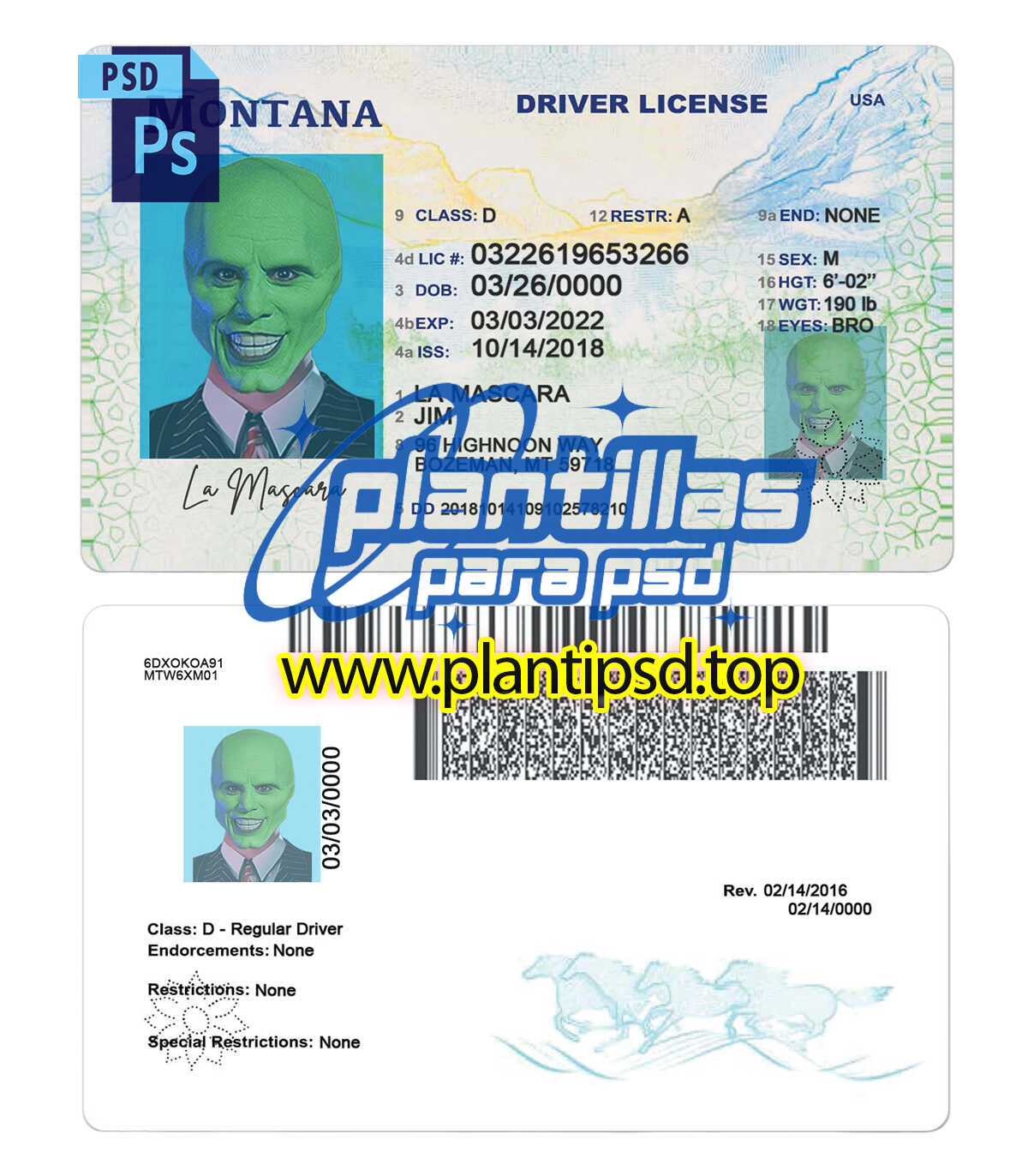 Licencia de Conducir de Montana USA – Plantilla Digital Editable en Photoshop