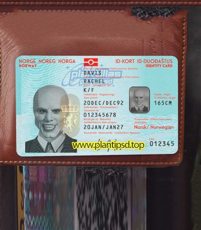 Noruega Verificando